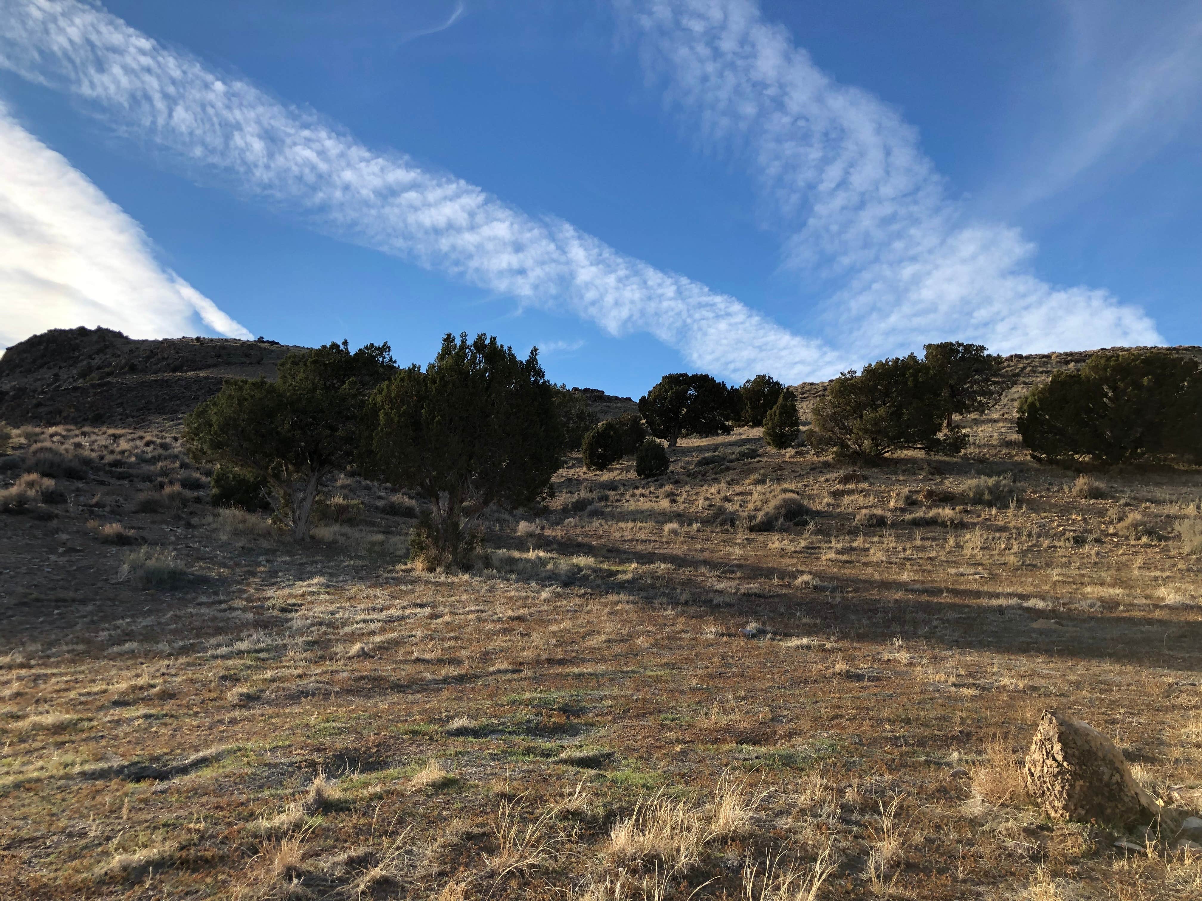 Camper submitted image from Parowan Gap Petroglyphs - 1