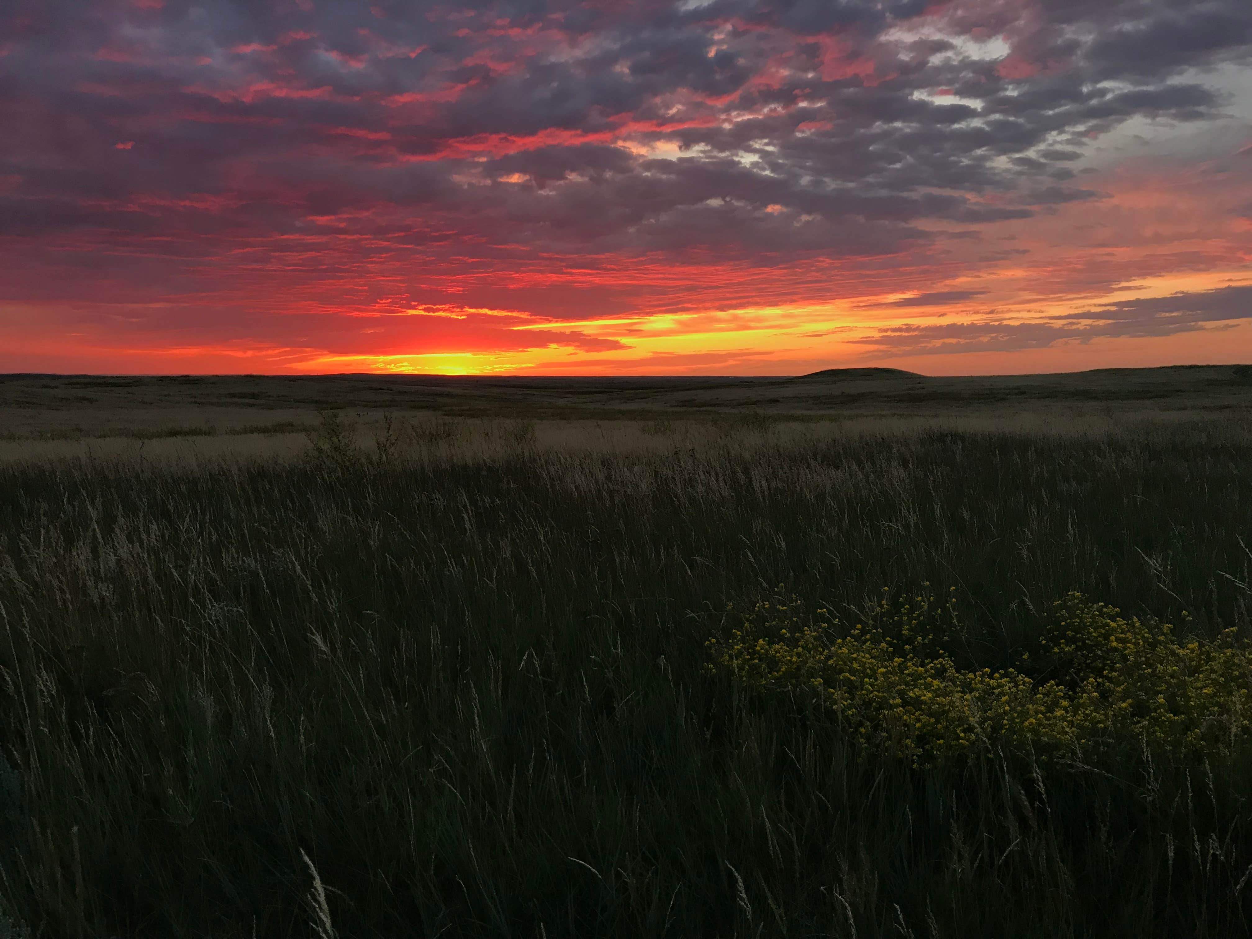 Julie  J.'s photo of a dispersed camping area at Buffalo Gap National Grassland in South Dakota
