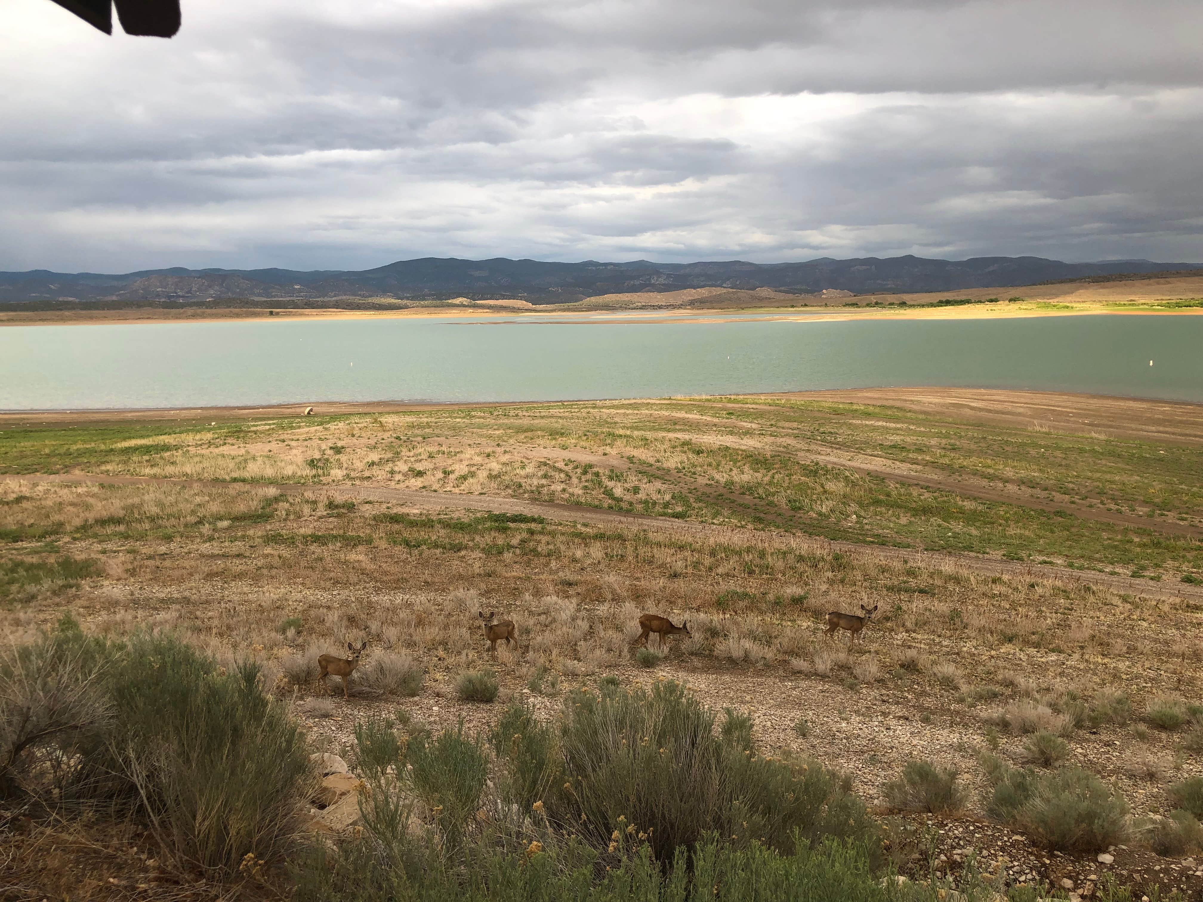 Abner H.'s photo of camping with pets at Oasis Campground — Yuba State Park near Manti-La Sal National Forest