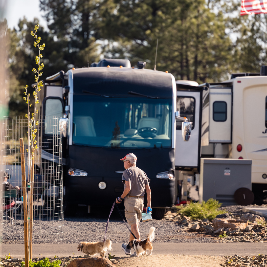 Julie S.'s photo of camping with pets at Village Camp Flagstaff near Bellemont, AZ