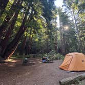 Review photo of San Mateo Memorial Park by Michael H., July 17, 2025