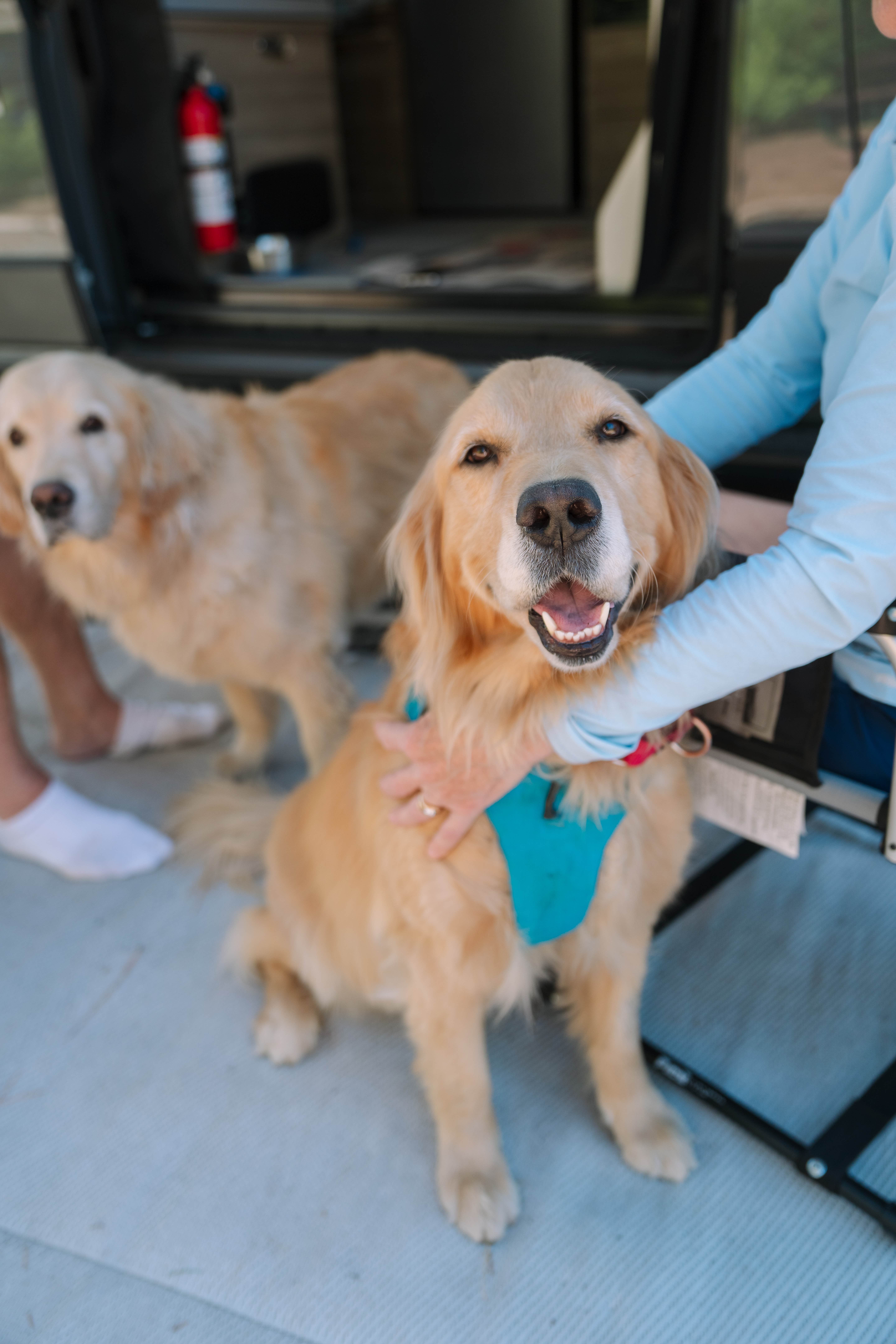 Julie S.'s photo of camping with pets at Village Camp Truckee near Truckee, CA