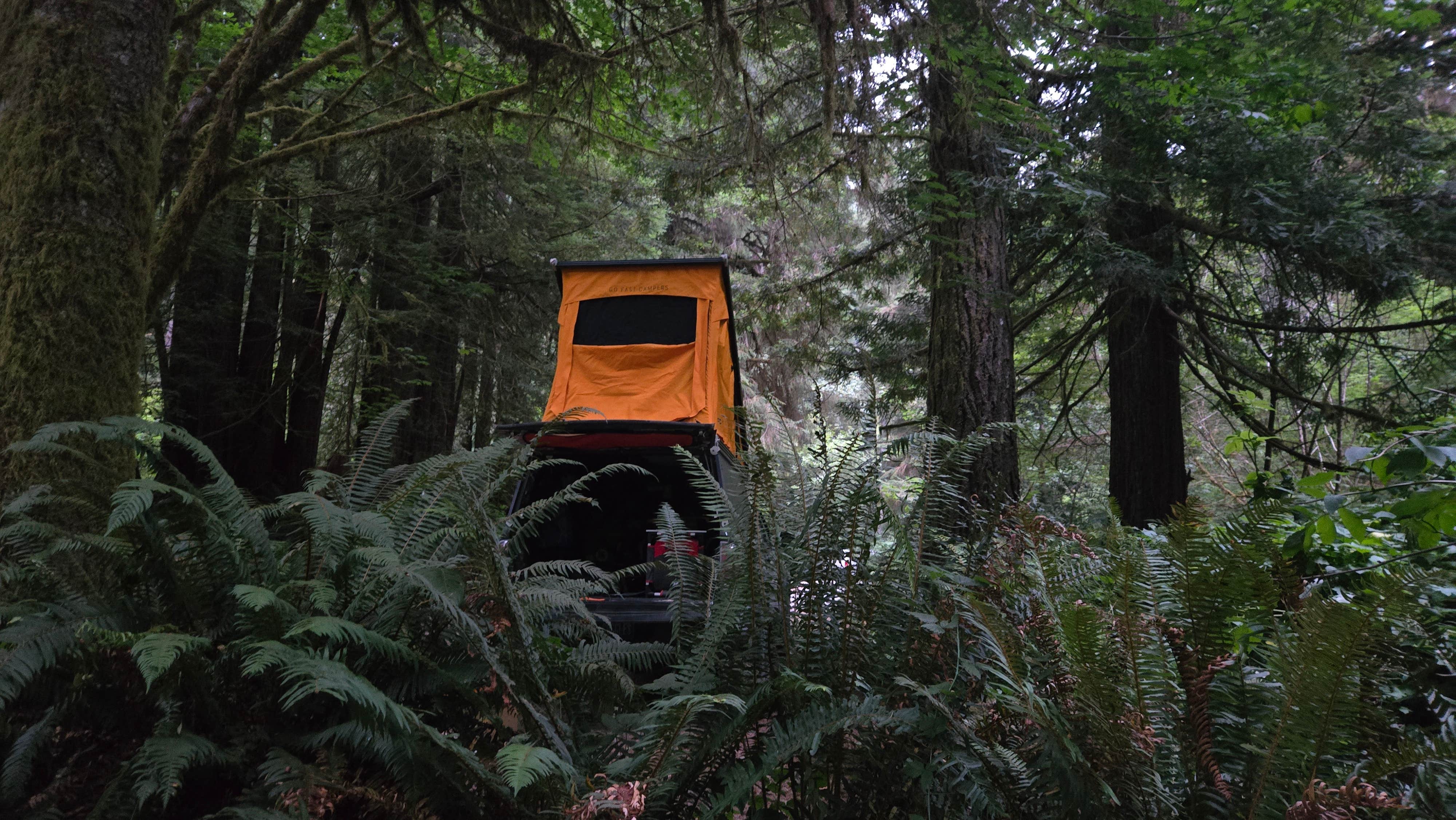 Jason G.'s photo at Mill Creek Campground — Del Norte Coast Redwoods State Park near Redwood National Park
