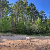 Review photo of Twelvemile Beach Campground — Pictured Rocks National Lakeshore by Dickie H., July 10, 2019
