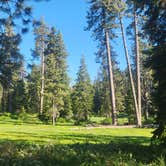 Review photo of Sequoia National Forest Quaking Aspen Campground by Kim L., July 17, 2025