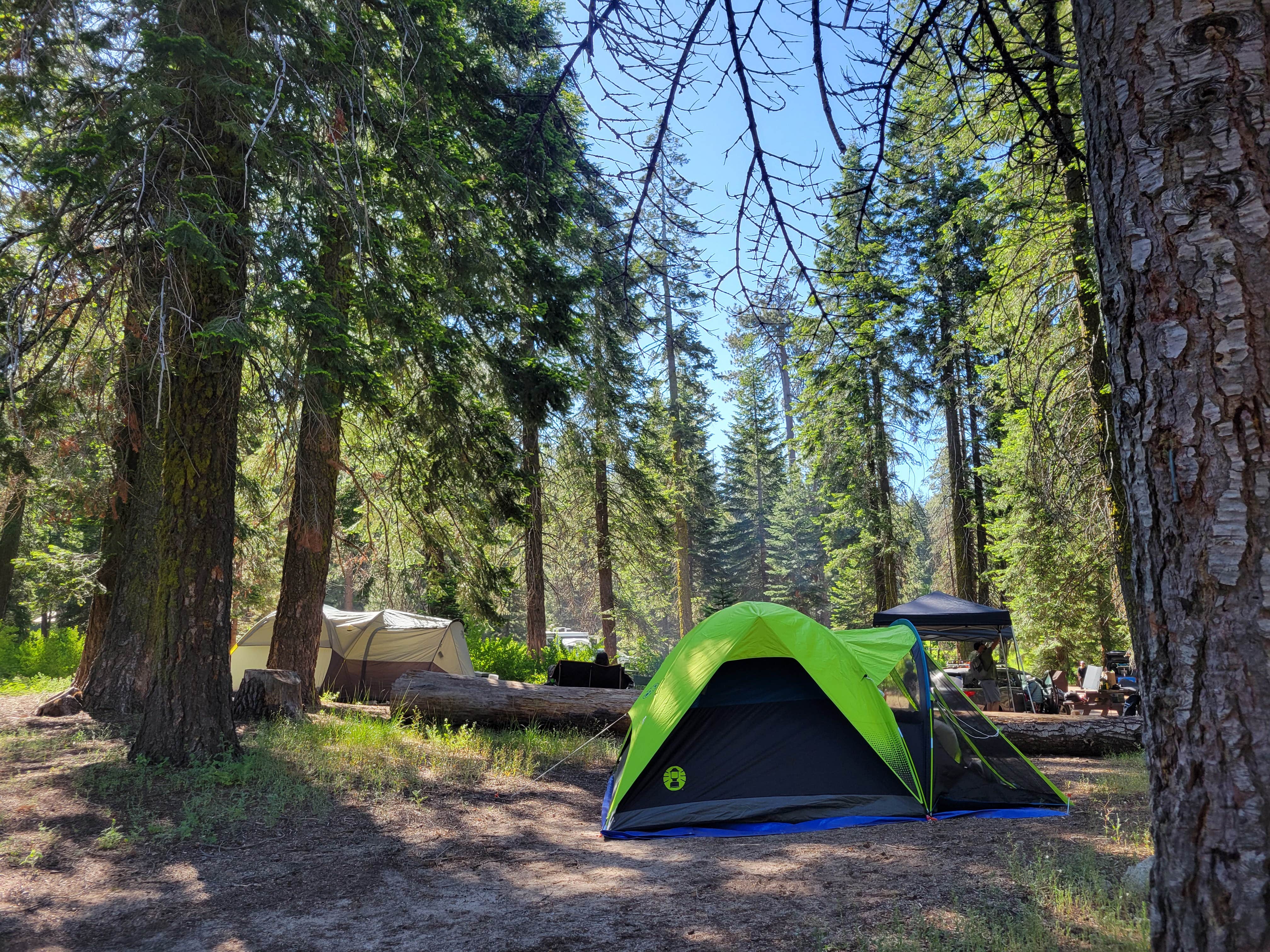 Kim L.'s photo at Sequoia National Forest Quaking Aspen Campground near Springville, CA