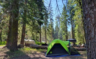 Kim L.'s photo at Sequoia National Forest Quaking Aspen Campground near Springville, CA