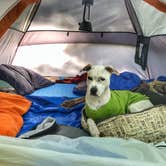 Review photo of Twelvemile Beach Campground — Pictured Rocks National Lakeshore by Dickie H., July 10, 2019