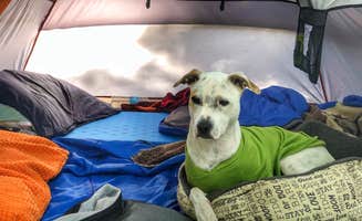 Dickie H.'s photo of glamping accommodations at Twelvemile Beach Campground — Pictured Rocks National Lakeshore near Pictured Rocks National Park