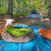 Review photo of Twelvemile Beach Campground — Pictured Rocks National Lakeshore by Dickie H., July 10, 2019