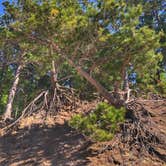 Review photo of Twelvemile Beach Campground — Pictured Rocks National Lakeshore by Dickie H., July 10, 2019