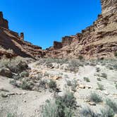 Review photo of Nine Mile Canyon Ranch by Kimberly  M., April 24, 2025