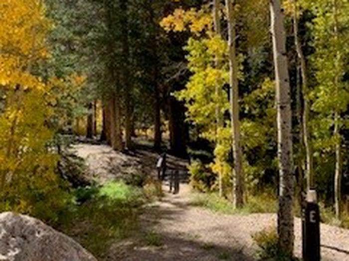 Camper-submitted photo at Timber Creek Campground near Ely, NV