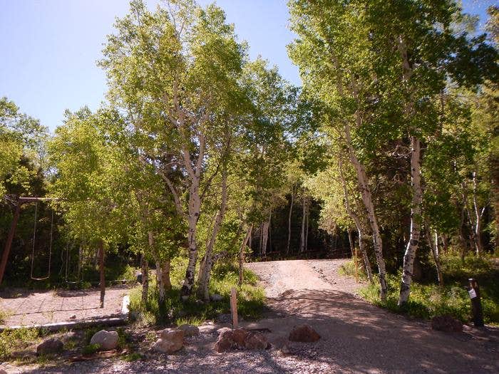 Camper-submitted photo at Timber Creek Campground near Ely, NV
