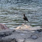 Review photo of Tony Grove Lake by Carlisle B., July 30, 2019