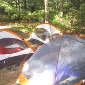 Review photo of Nickerson State Park Campground by Michael K., June 8, 2016