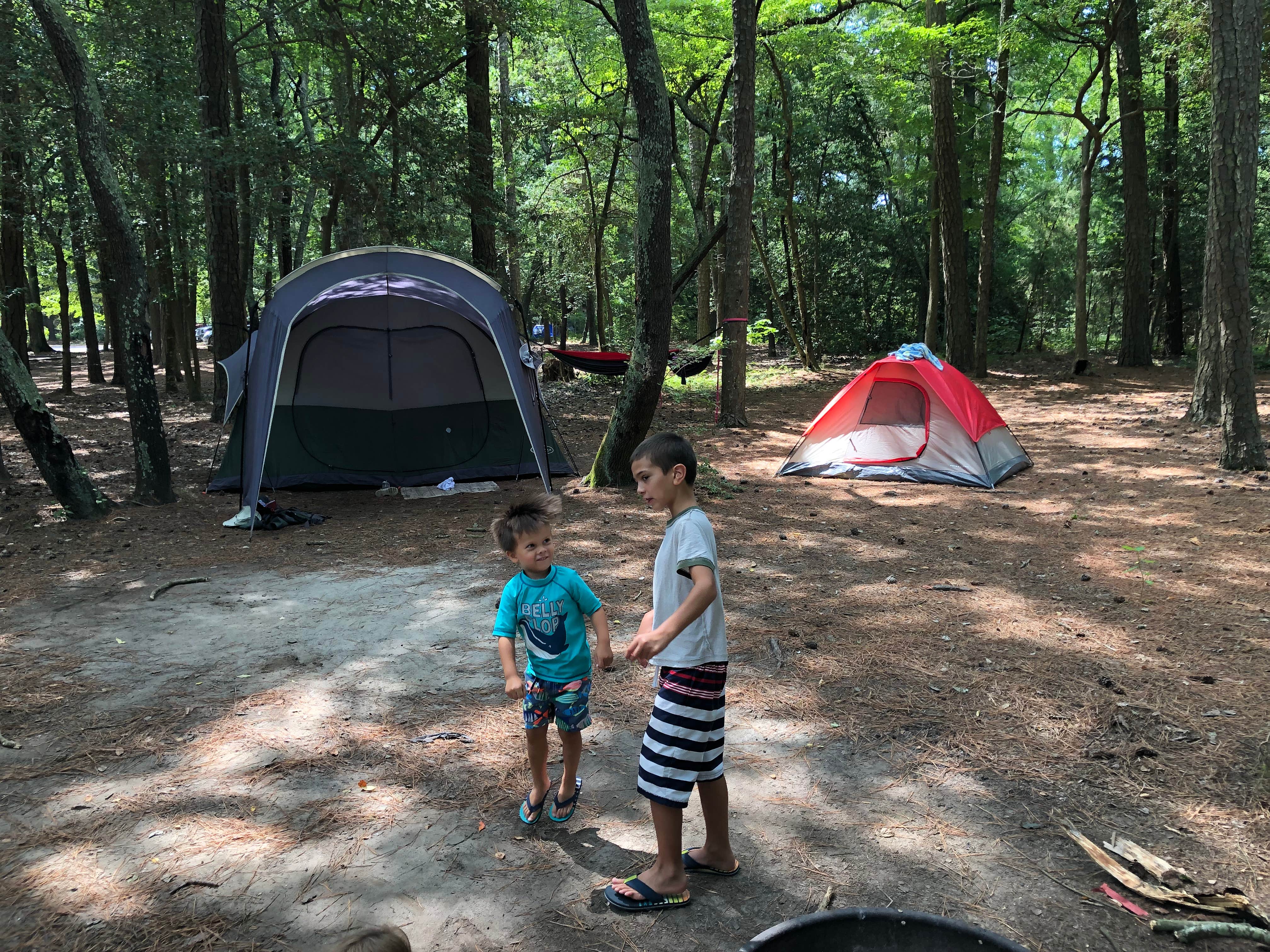 Ross B.'s photo at Kiptopeke State Park Campground near Nassawadox, VA