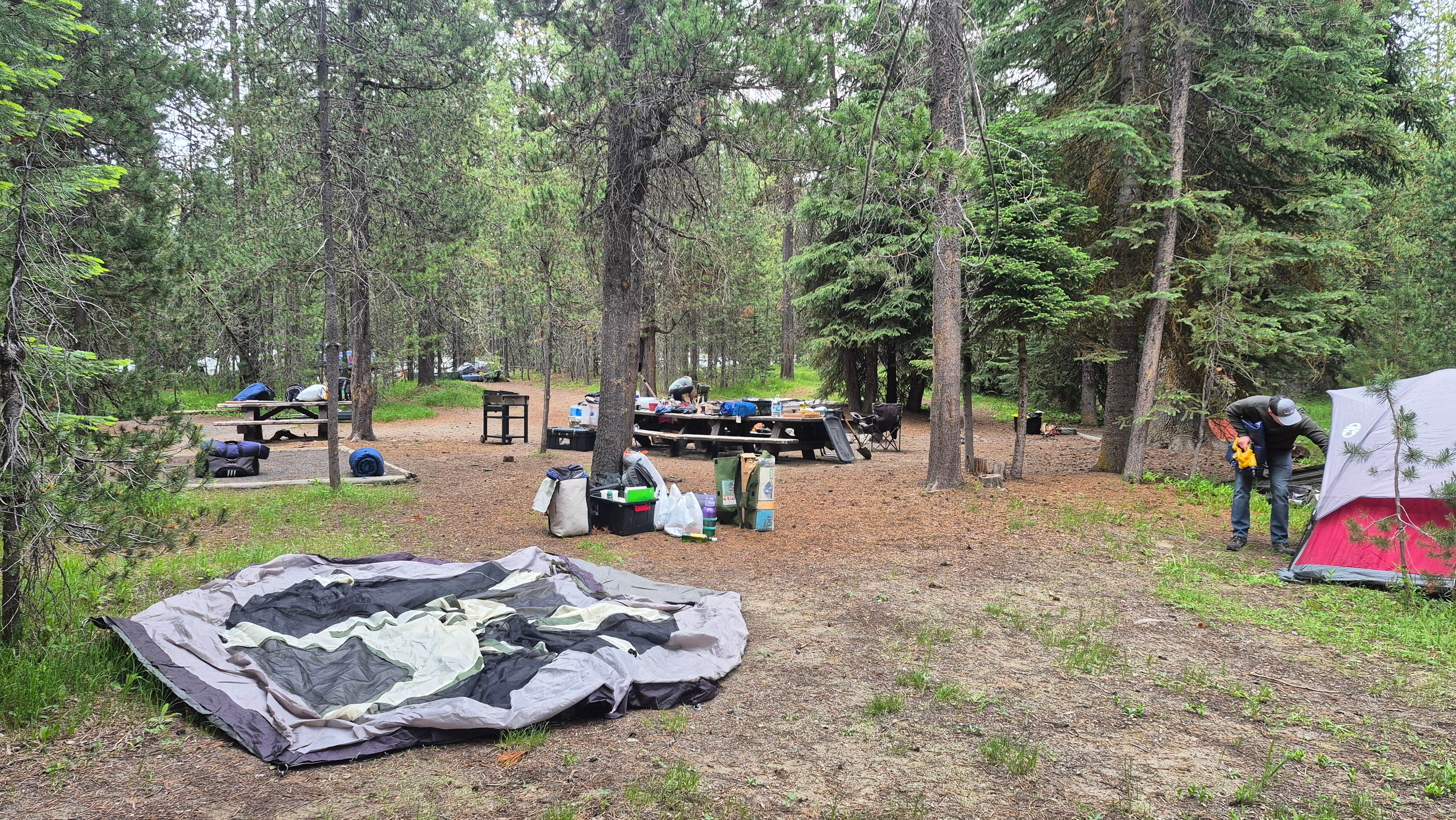 Camper submitted image from Little Lava Lake - 5