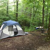Review photo of Kentuck Campground — Ohiopyle State Park by James H., July 30, 2019