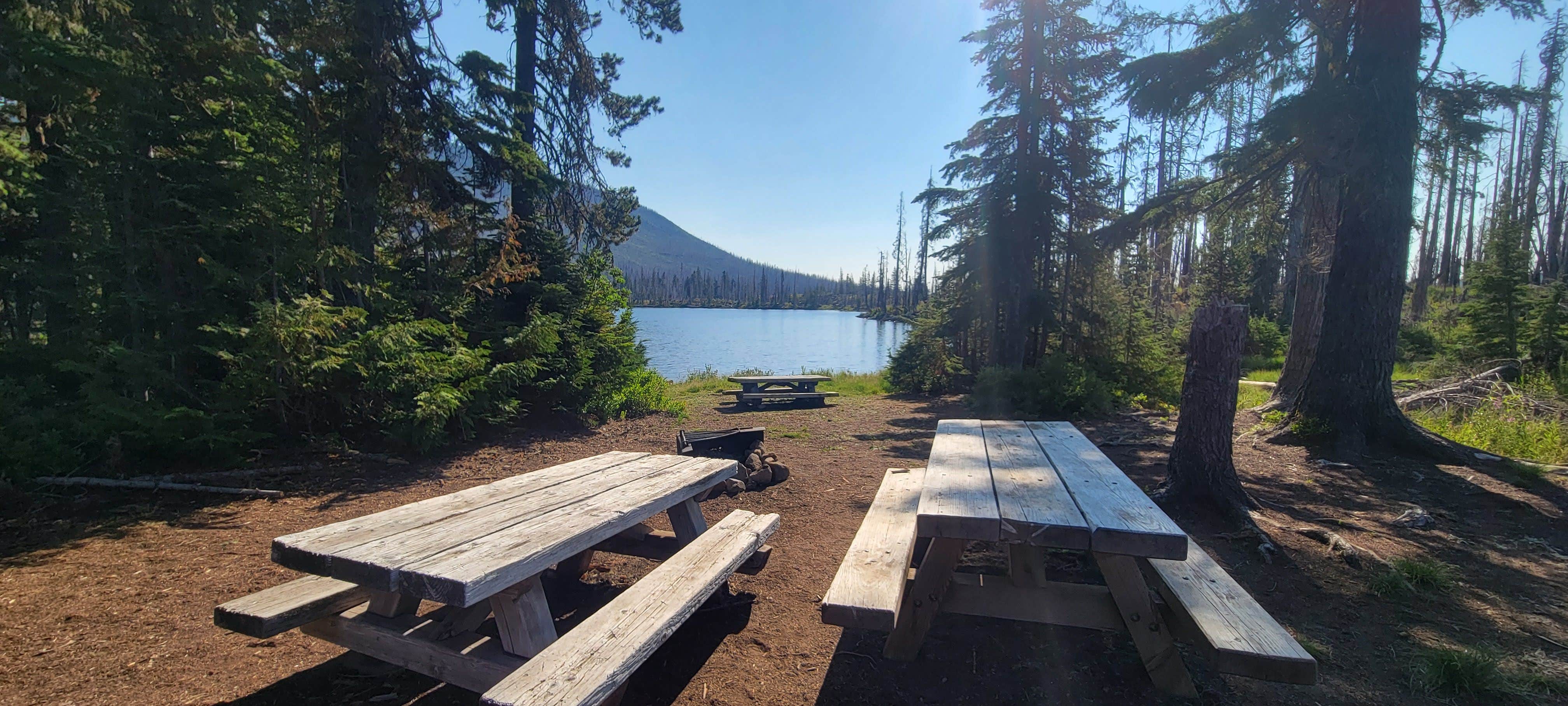 Camper submitted image from Camp Ten (Olallie) Campground - 2