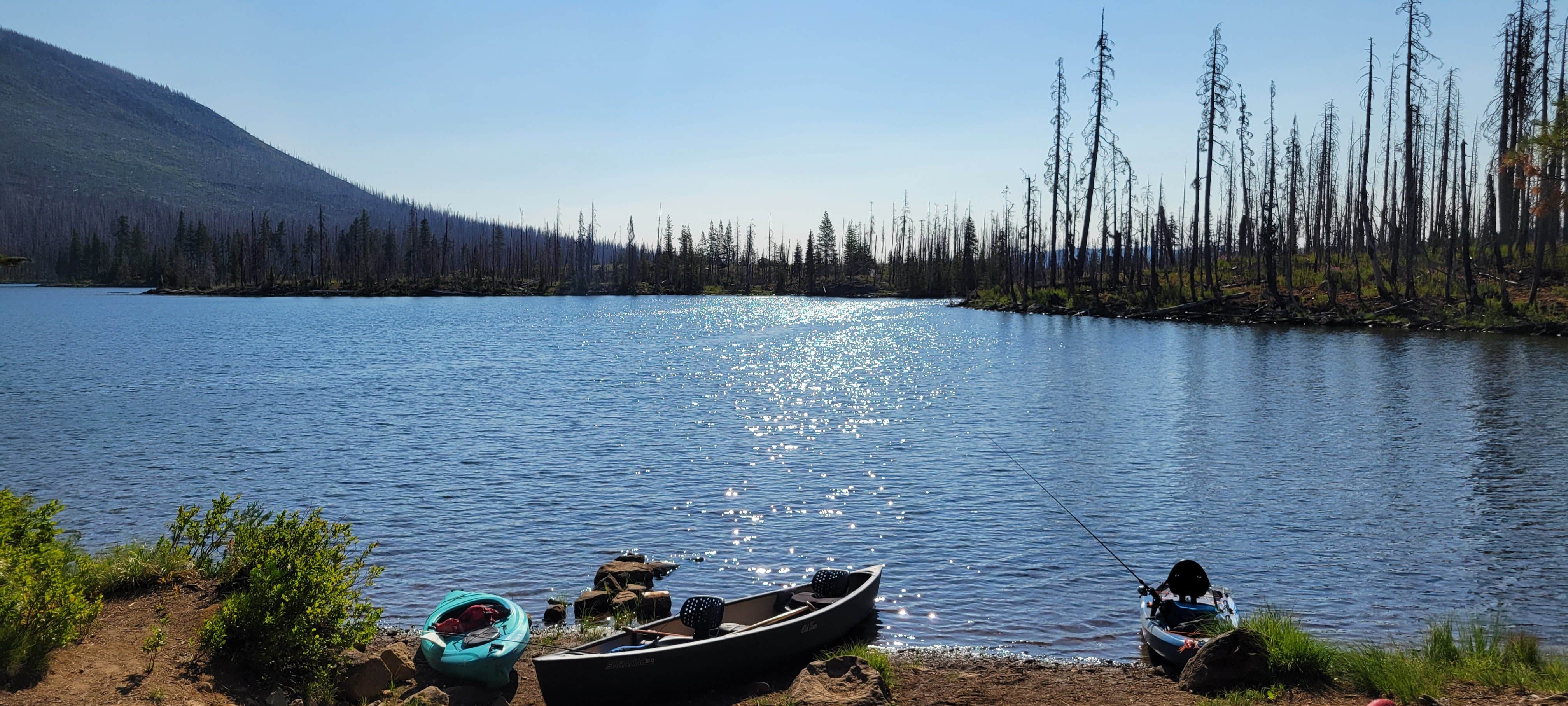 Camper submitted image from Camp Ten (Olallie) Campground - 4