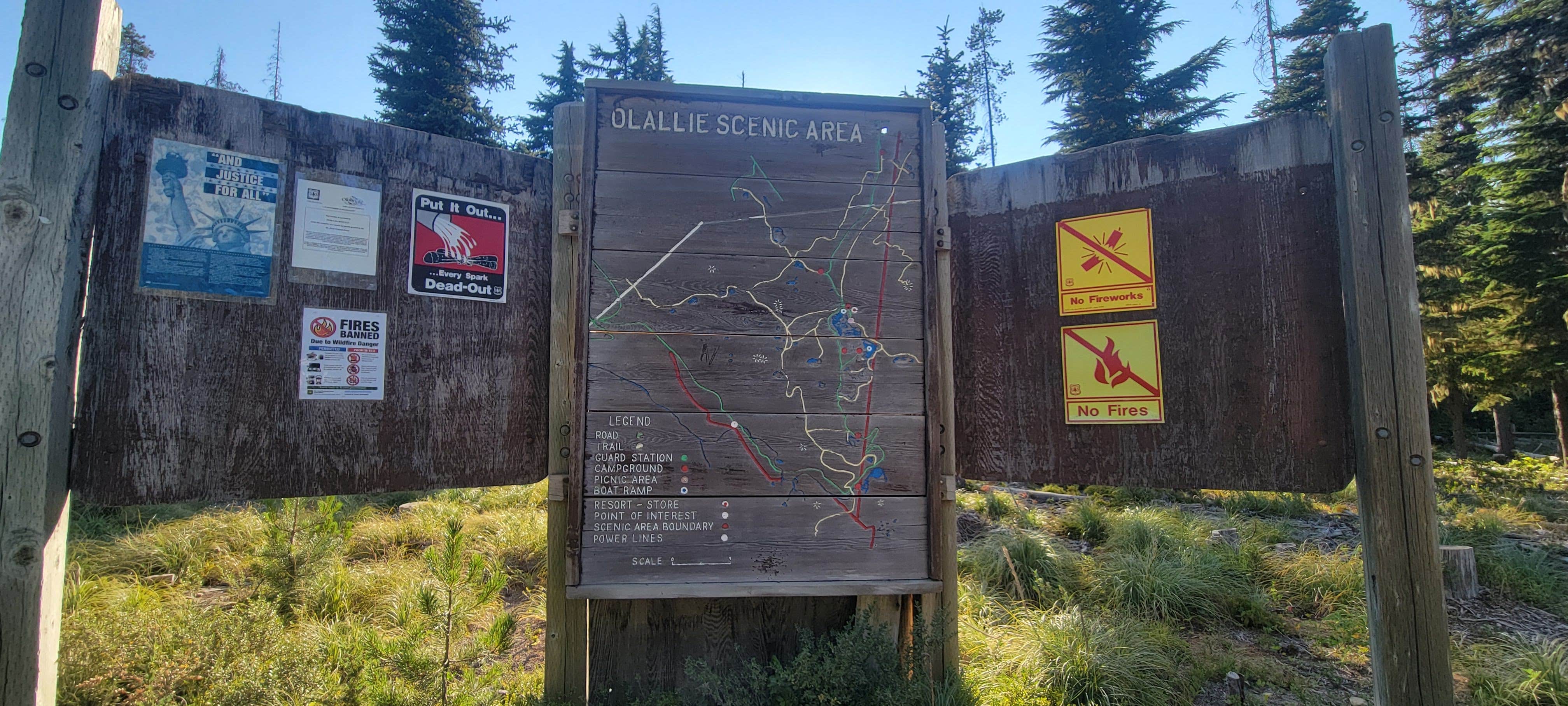 Camper submitted image from Camp Ten (Olallie) Campground - 5