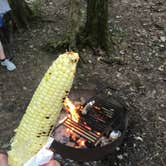 Review photo of Kentuck Campground — Ohiopyle State Park by James H., July 30, 2019