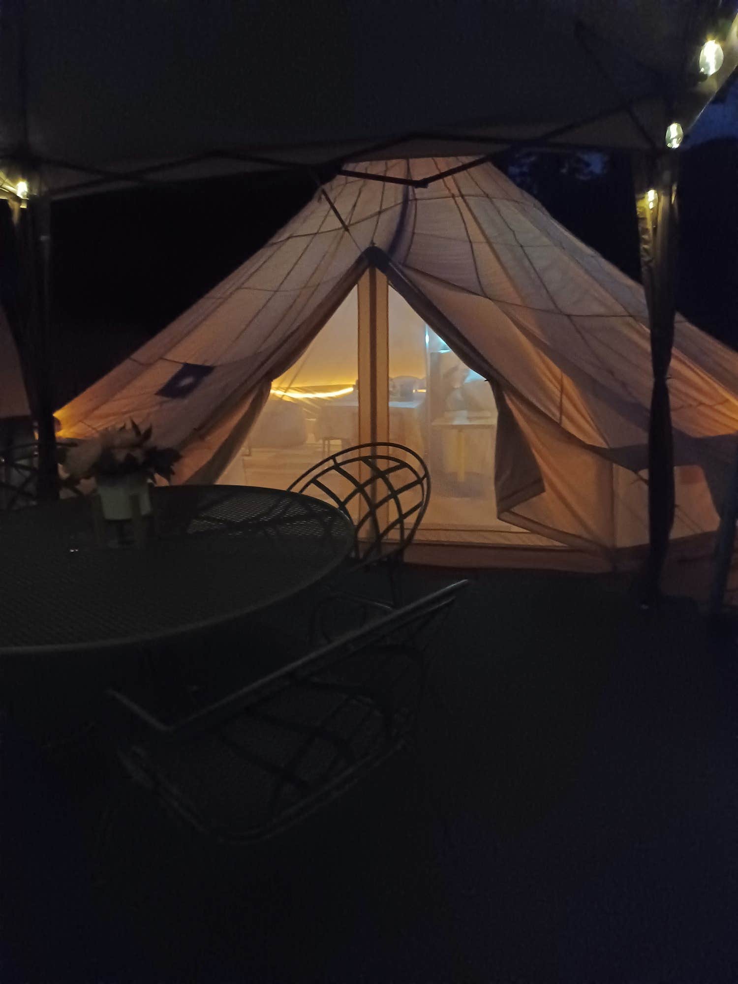 The Dyrt's photo at Bear Bottom Cabins and Glamping near Divide, CO