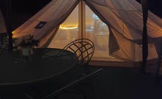 The Dyrt's photo at Bear Bottom Cabins and Glamping near Divide, CO