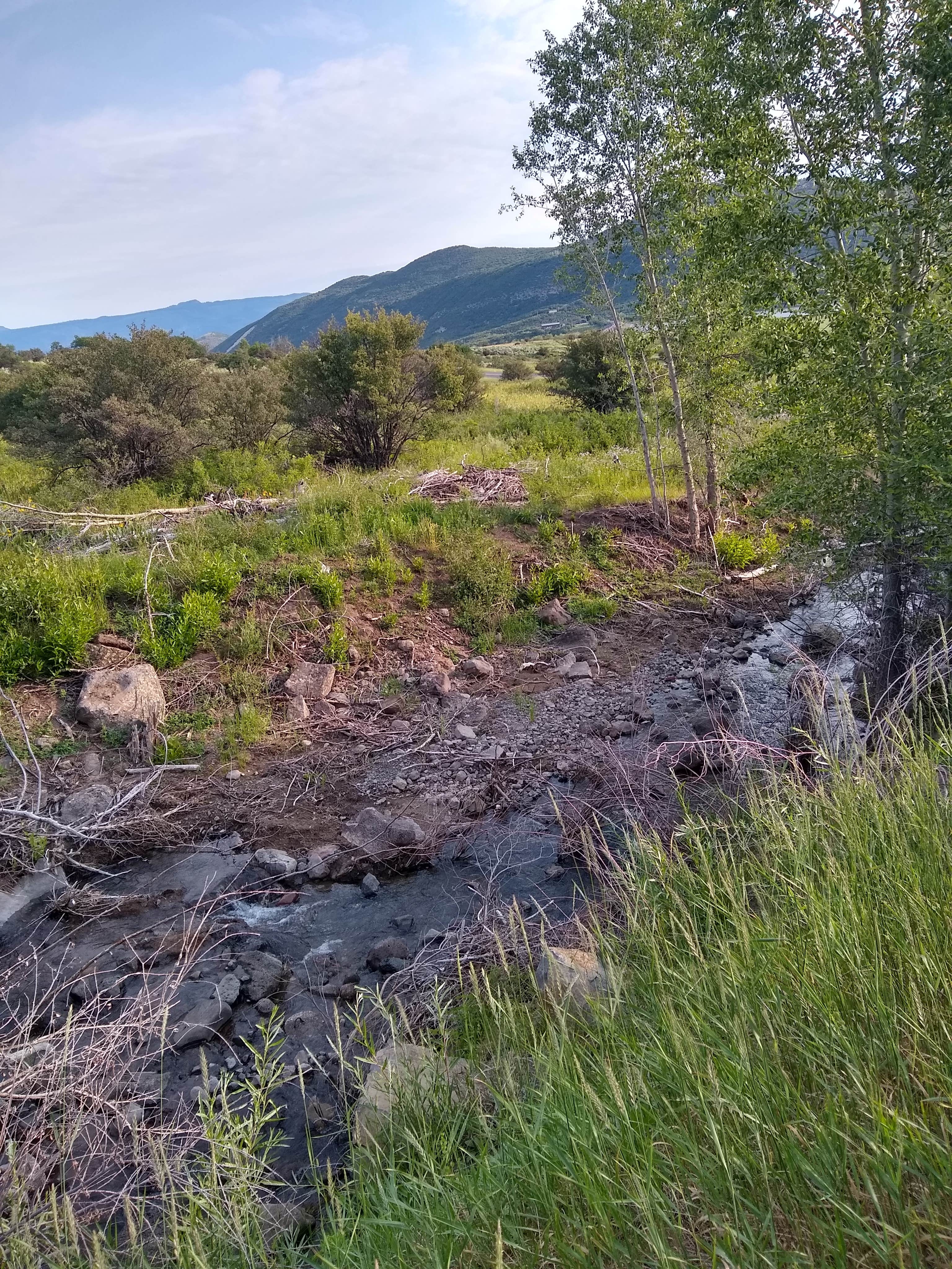 Camper-submitted photo at Pioneer Campground — Vega State Park near Collbran, CO