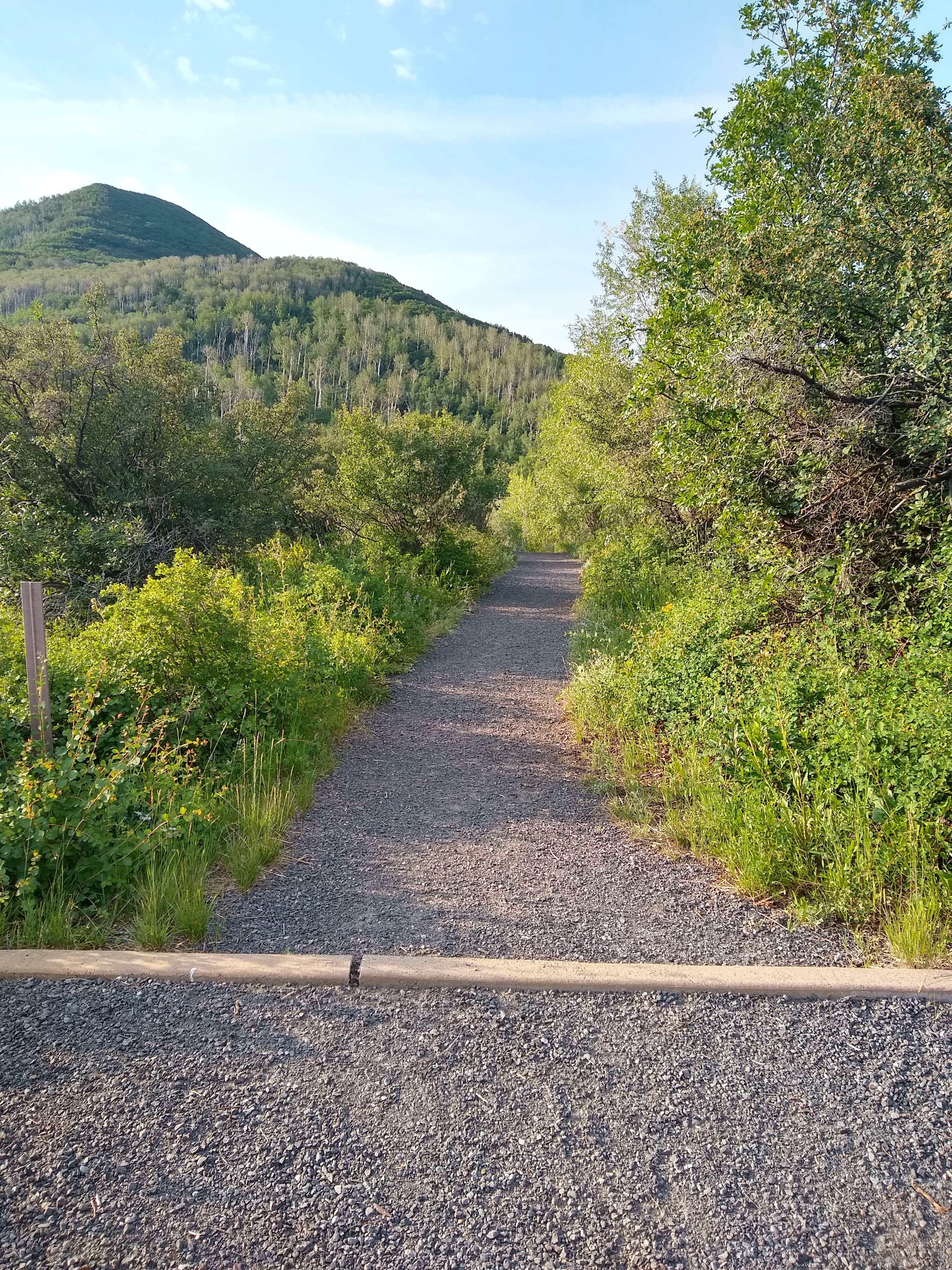 Camper submitted image from Pioneer Campground — Vega State Park - 2