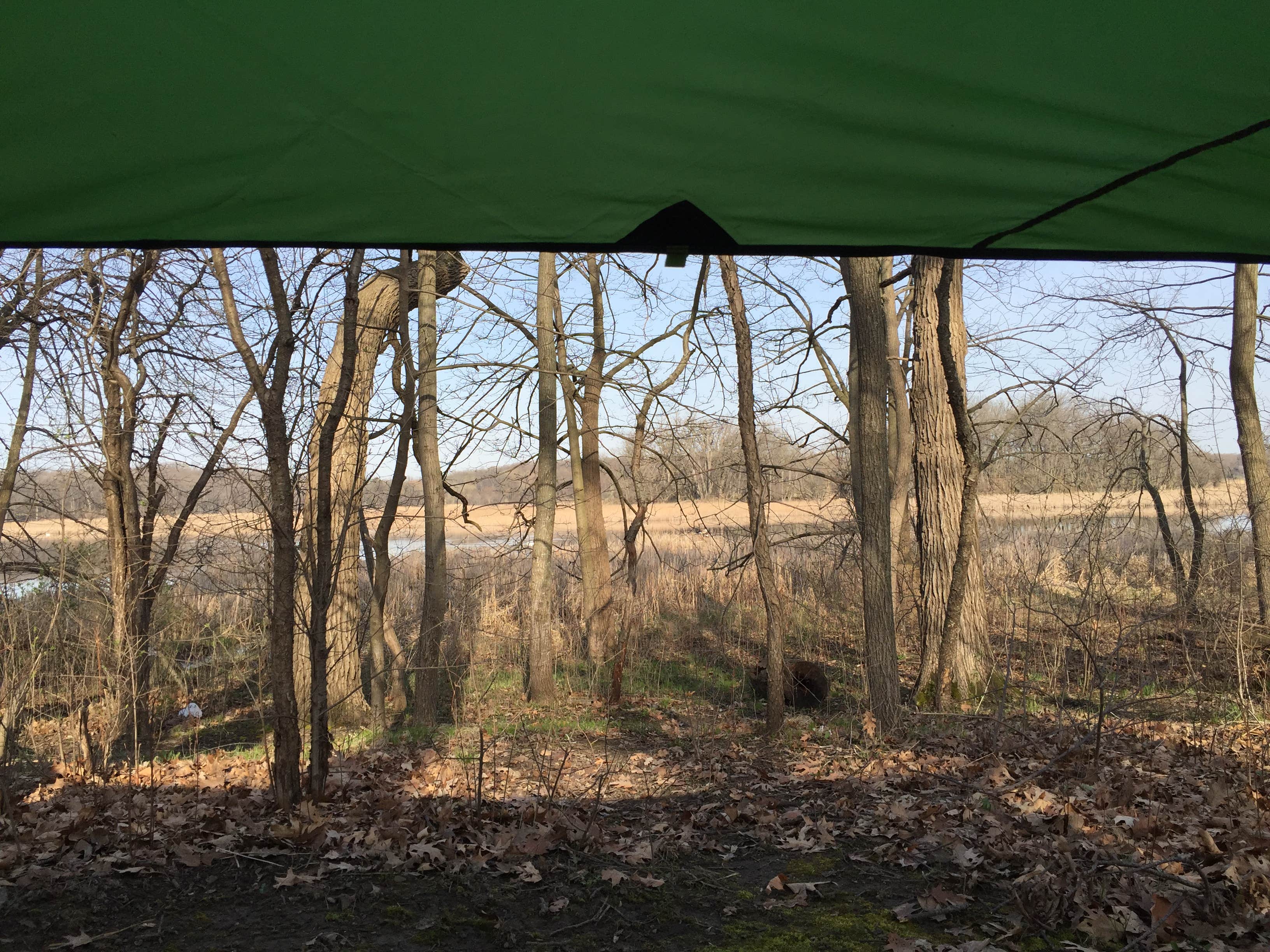 Camper-submitted photo at Mud Lake East — Chain O' Lakes State Park near Wonder Lake, IL