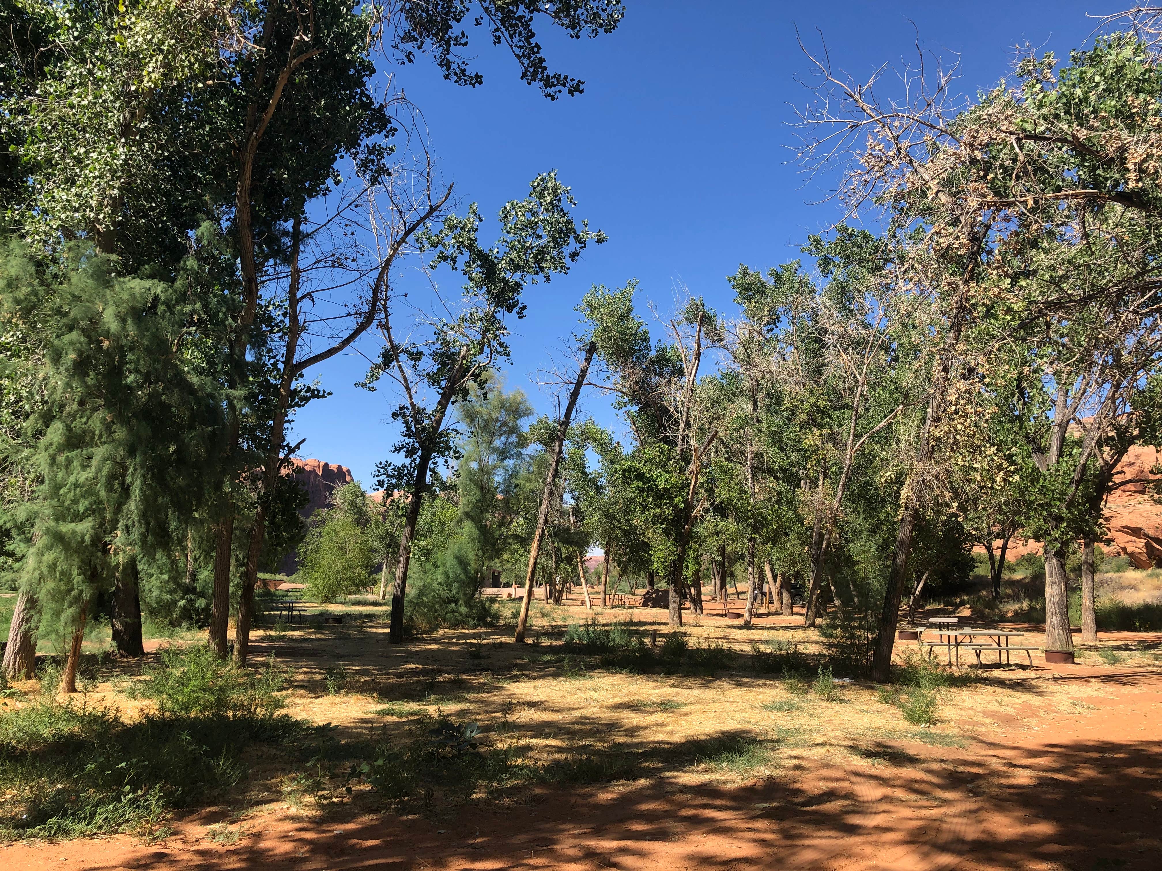 Camper submitted image from Kane Creek Campground - Permanently CLOSED - 2