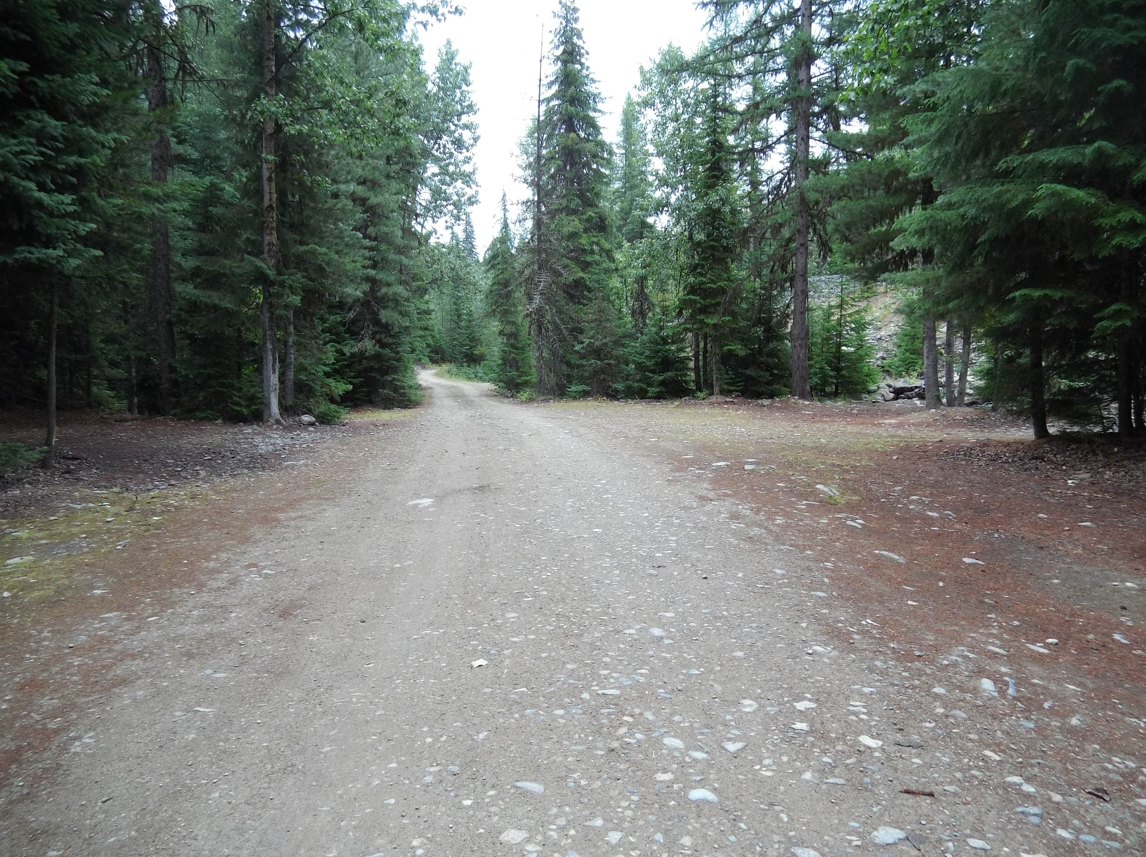 Camper-submitted photo at Libby Creek Gold Panning Area near Trout Creek, MT