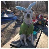 Review photo of Dunewood Campground — Indiana Dunes National Park by Dickie H., July 30, 2019