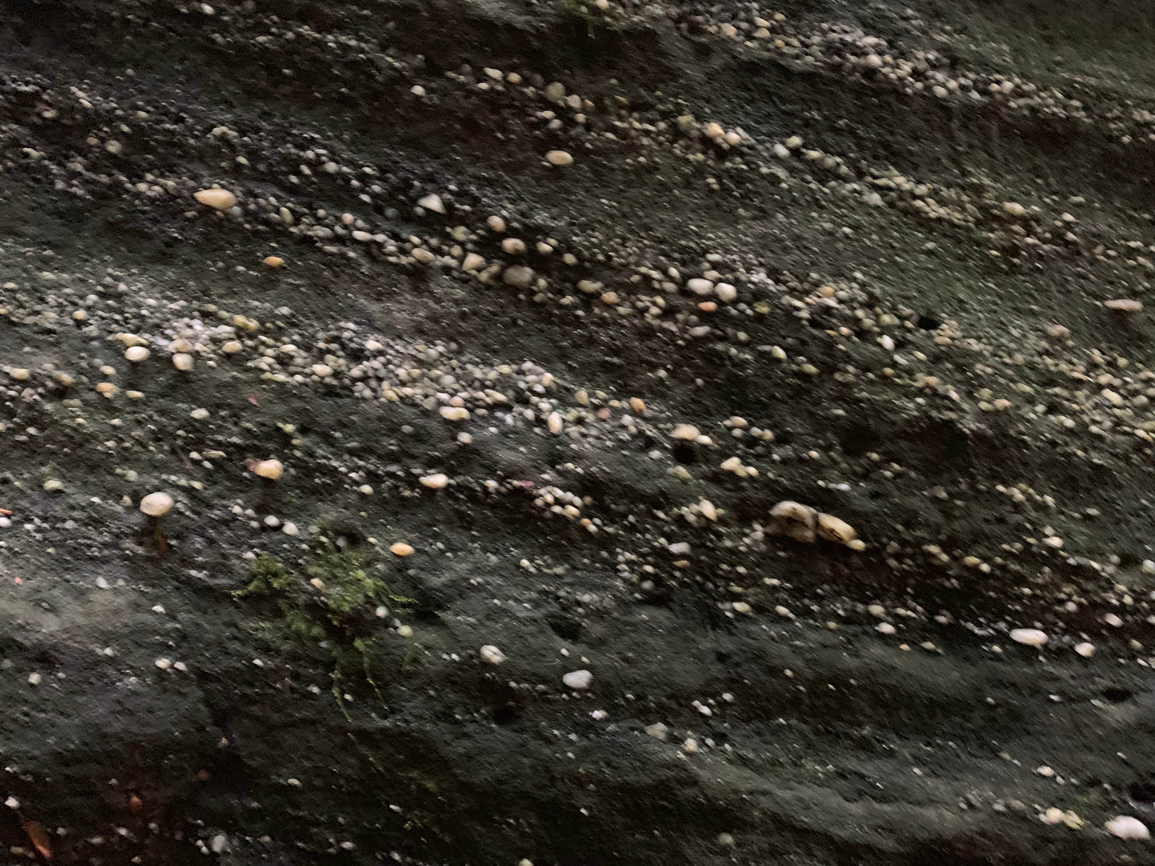 Camper-submitted photo at Nelson-Kennedy Ledges Quarry Park near Bentleyville, OH