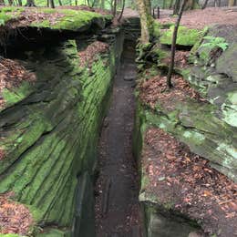 Nelson-Kennedy Ledges State Park