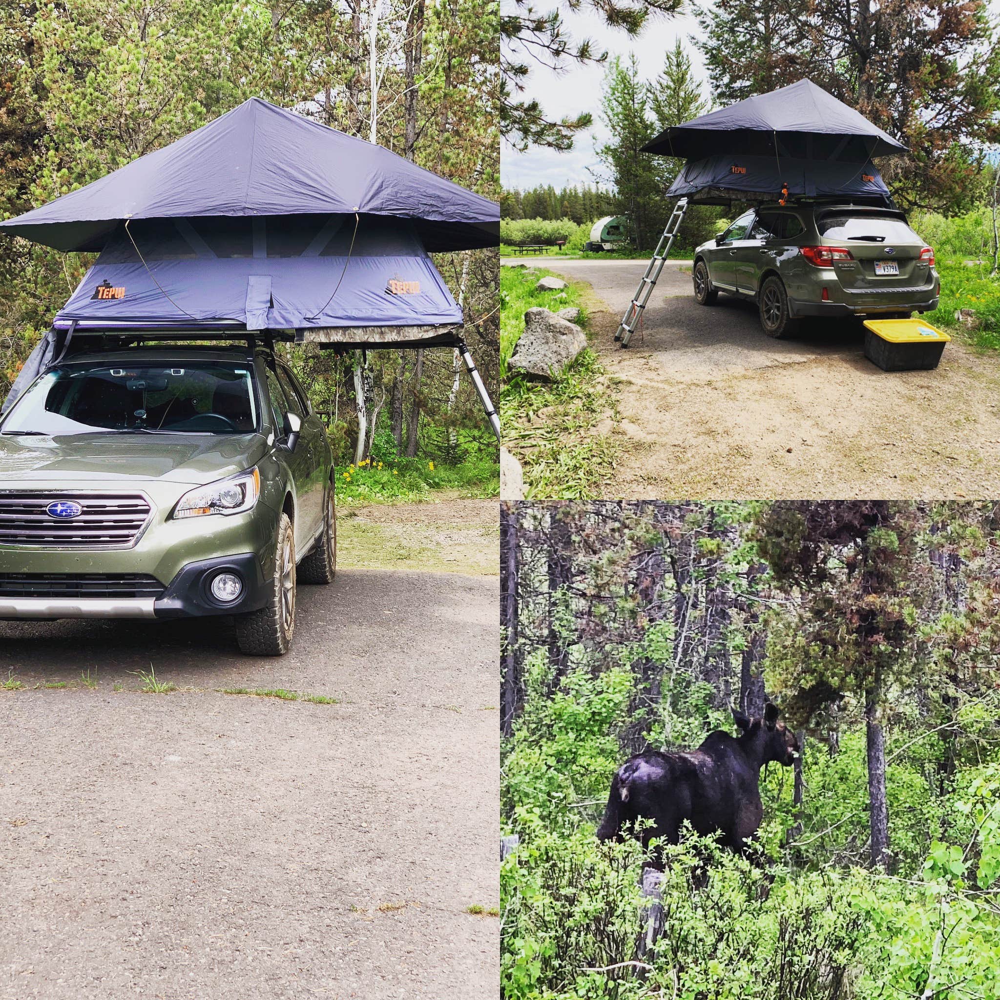 Camper submitted image from Buffalo (idaho) - 3