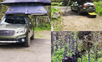 Andy O.'s photo of camping with pets at Buffalo (idaho) near Island Park, ID