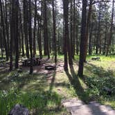 Review photo of Reuter Campground by Danielle B., July 30, 2019