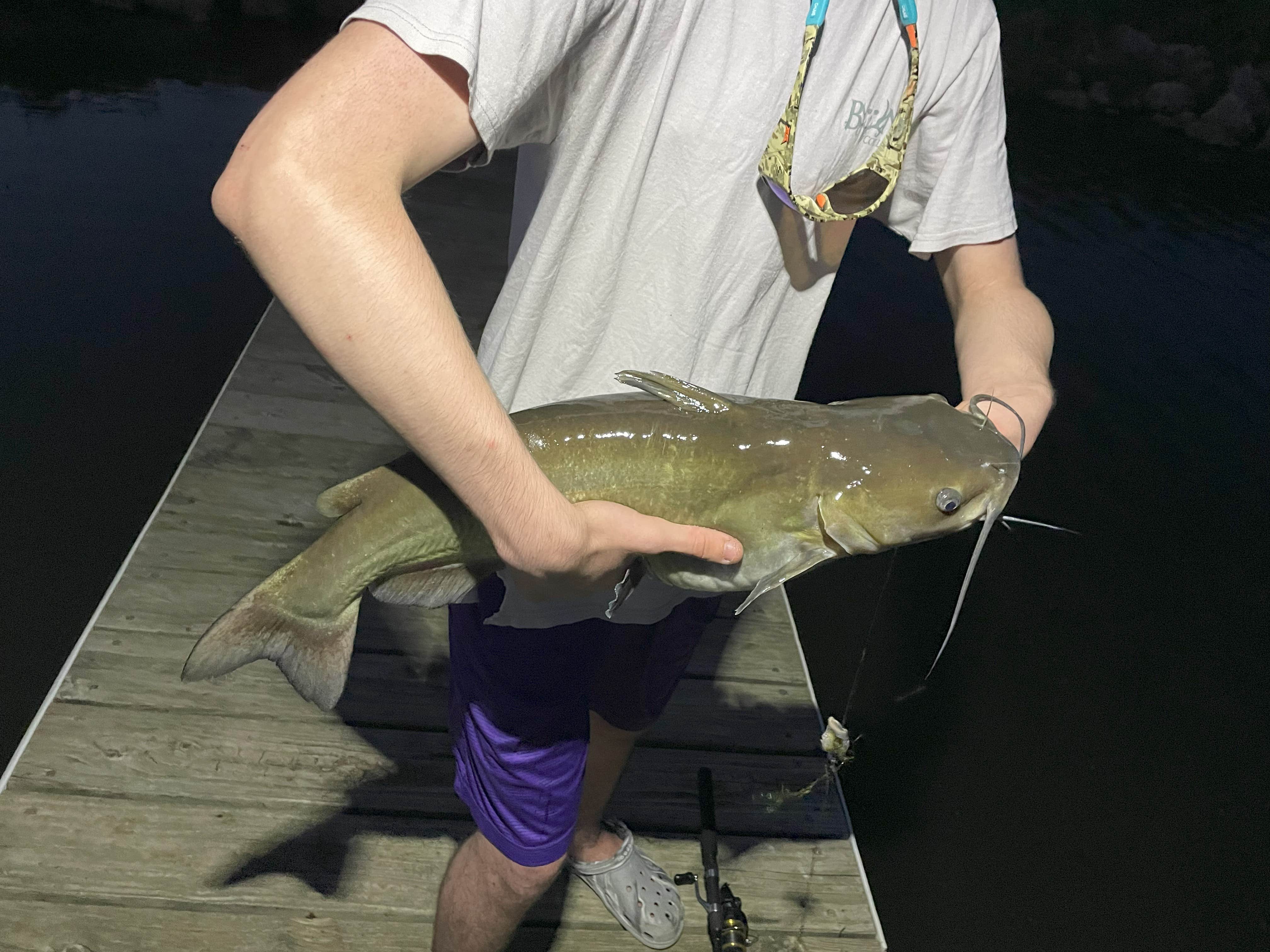 Camper-submitted photo at Pleasant Creek State Recreation Area Campground near Gladbrook, IA