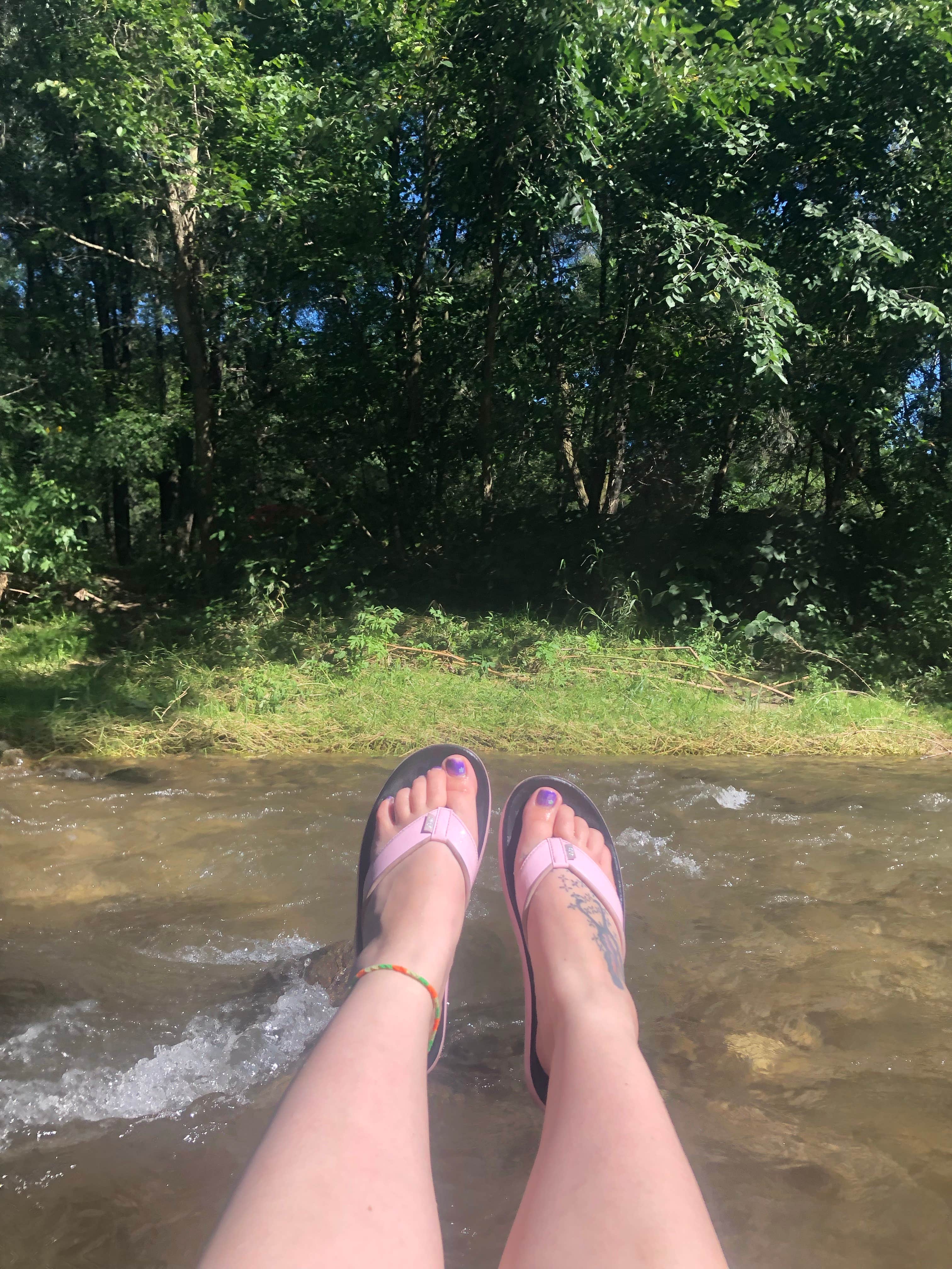 Camper-submitted photo at Lazy D Campground and Trail Rides near Cochrane, WI
