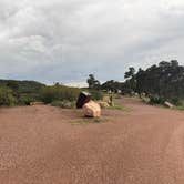 Review photo of East Ridge Campground - Royal Gorge by Mindy R., July 20, 2025