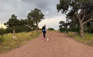 Mindy R.'s photo of camping with pets at East Ridge Campground - Royal Gorge near Hillside, CO