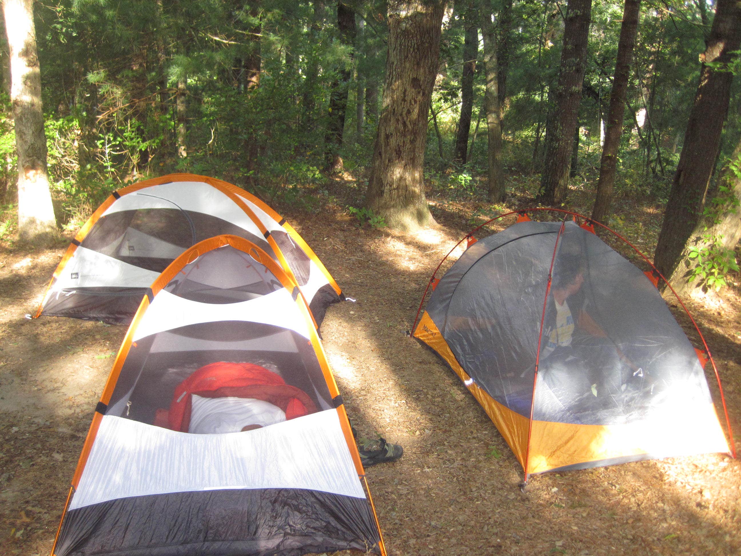 Camper submitted image from Nickerson State Park Campground - 2