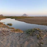 Review photo of Morro Strand State Beach Campground by Amber H., July 30, 2019