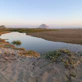 Review photo of Morro Strand Sb by Amber H., July 30, 2019