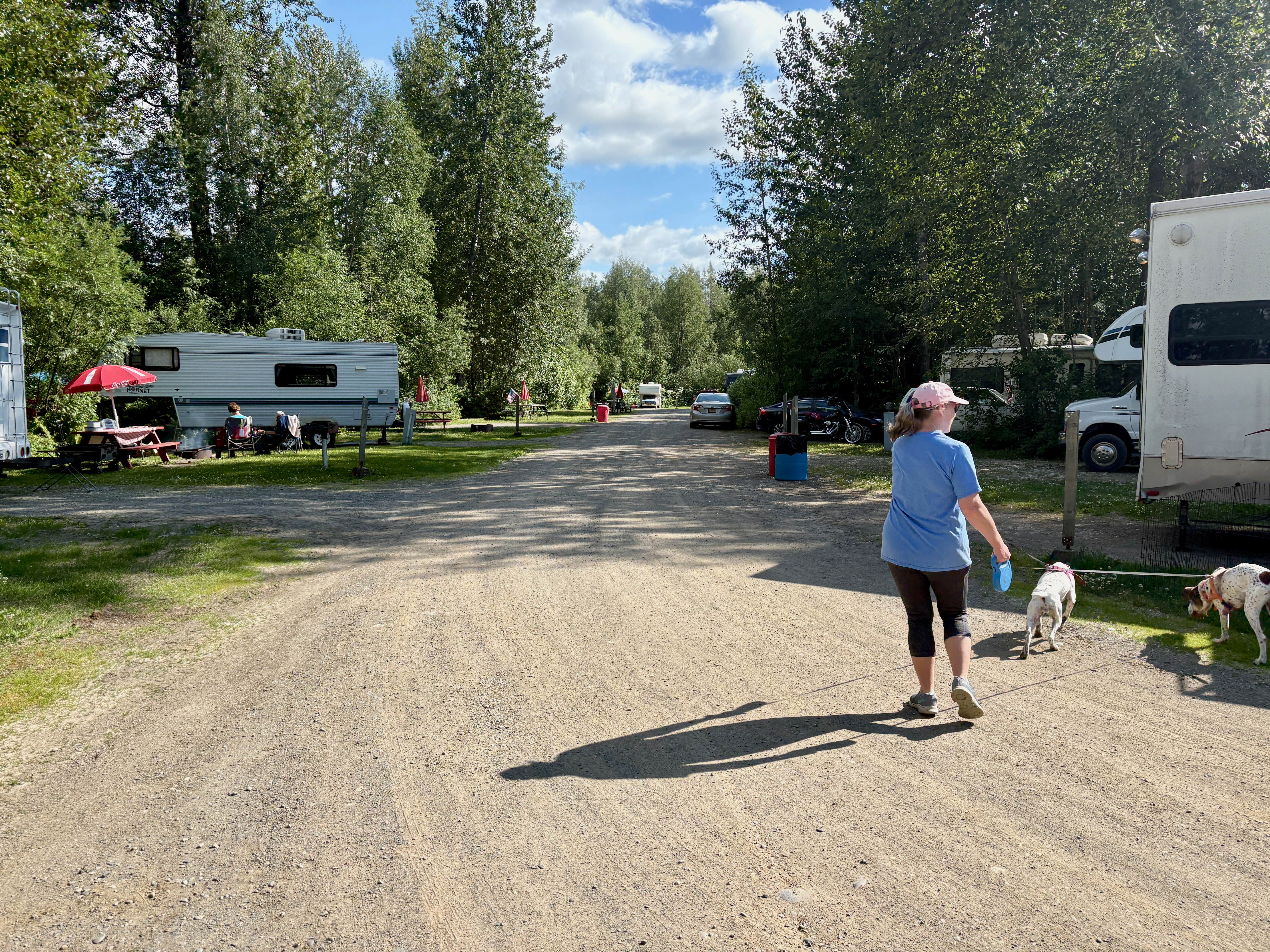 MickandKarla W.'s photo of camping with pets at Montana Creek Campground near Willow, AK