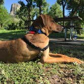 Review photo of Belle Fourche Campground at Devils Tower — Devils Tower National Monument by Danielle B., July 30, 2019