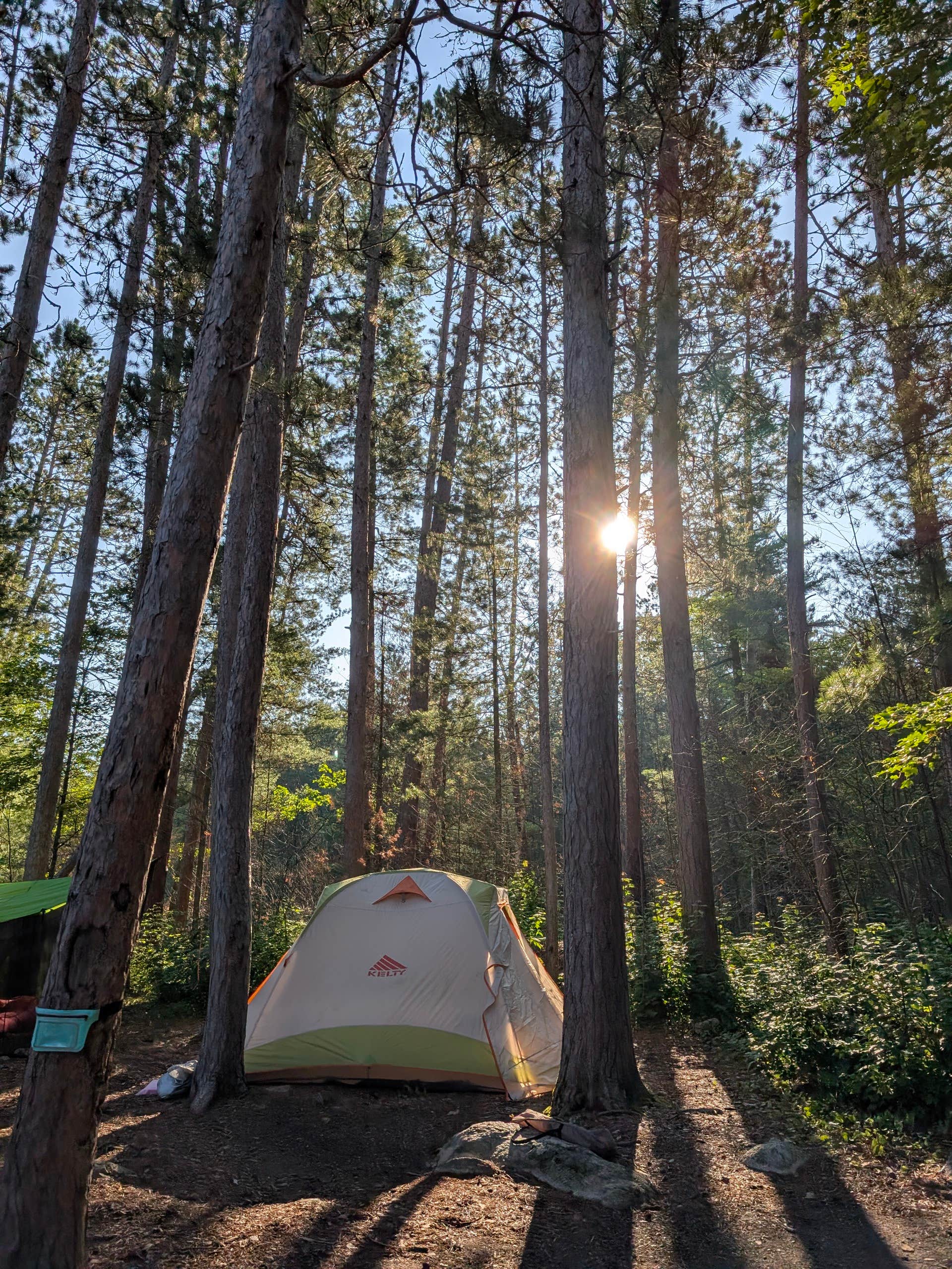 Amy G.'s photo of tent camping at BWCA Entry Point: 6 - Slim Lake - Campsite 2031 near Ely, MN